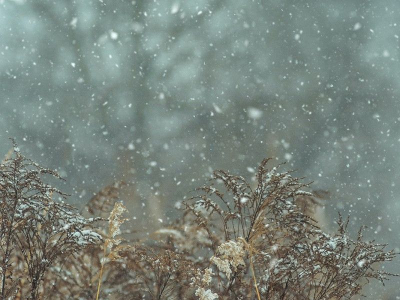 Похолодание и мокрый снег придут в Могилевскую область в начале следующей недели