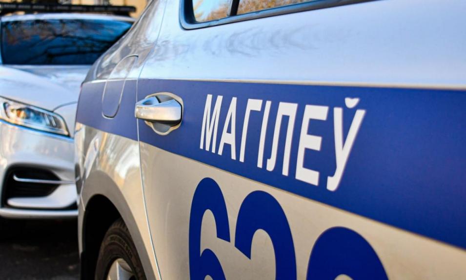 14 пьяных водителей и 16 бесправников задержаны в Могилевской области за выходные