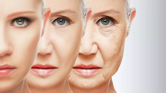 “Лекарство будет через три года”: ученые раскрыли тайну старения