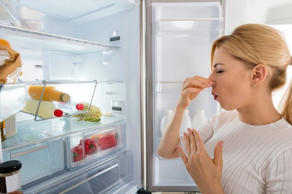 Как избавиться от неприятного запаха в холодильнике за одну ночь: поможет копеечное средство