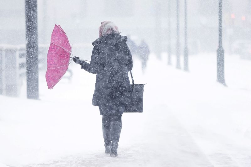Сложные погодные условия – сильный ветер, гололед, налипание мокрого снега – прогнозируются в начале следующей недели в Могилевской области