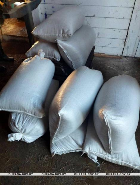 Двое мужчин в Могилевском районе похитили более 200 кг комбикорма и 100 кг муки