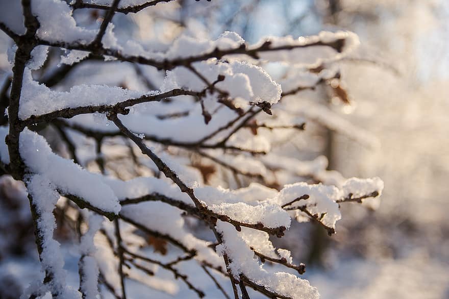 Сильный ветер и ночные заморозки ожидаются в Беларуси 6 декабря