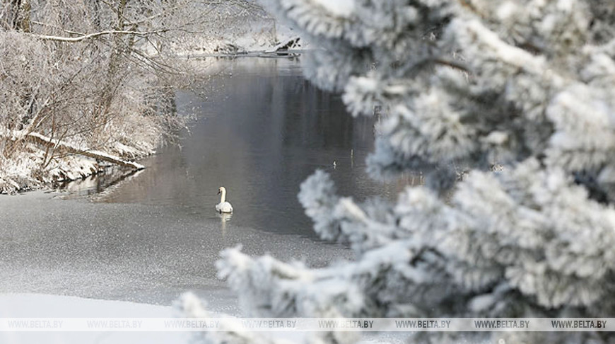 Снег, гололедицу и сильный ветер прогнозируют в Беларуси 12 января