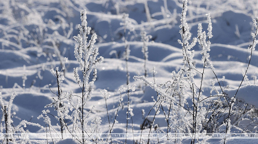 Оранжевый уровень опасности из-за снегопада и ветра объявлен в Беларуси на 21 января