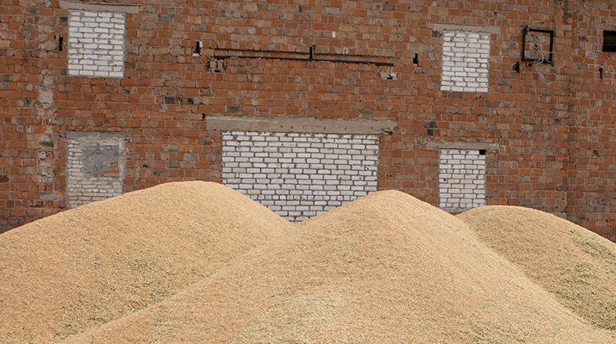 В Климовичах заведующей складом и ее сообщнику вынесли приговор за хищение зерна
