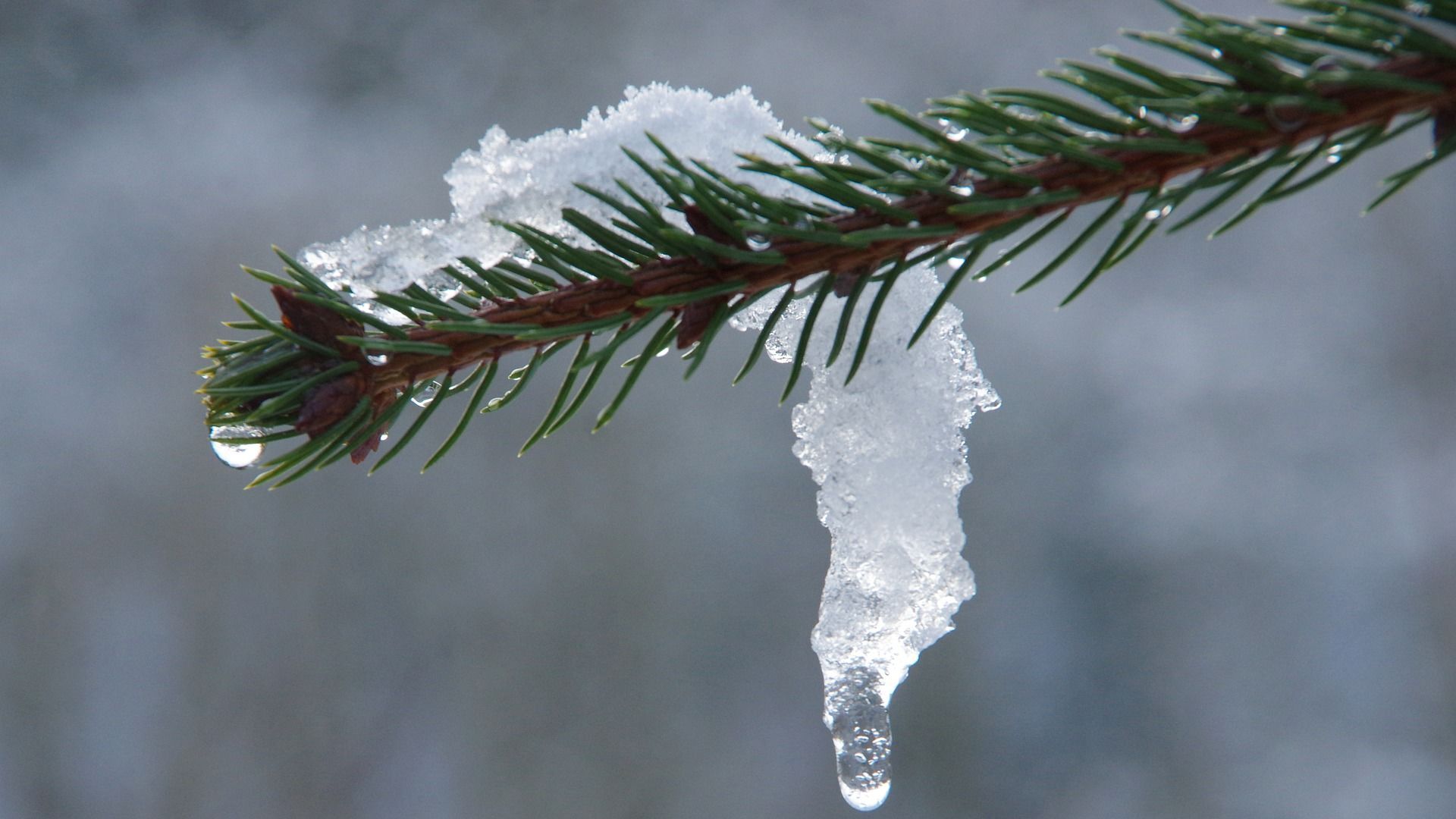 Снег и до +7°С ожидается в Беларуси 17 января
