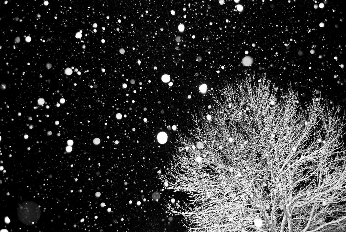 Сильный мокрый снег ожидается ночью и утром 5 января в Могилеве