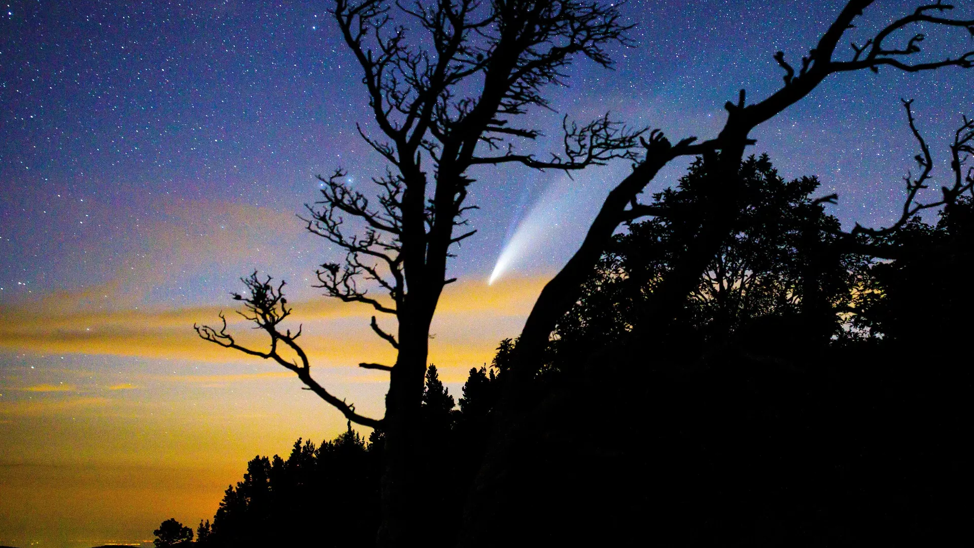 Яркая комета, видимая из России, пролетит близко к Земле 1 февраля