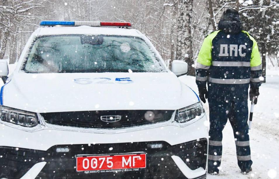 В Могилевской области за 10 дней задержали 46 нетрезвых водителей