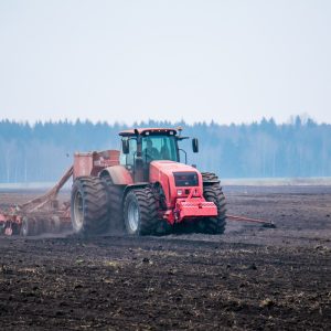 Половина площадей под сахарную свеклу в Беларуси уже засеяна
