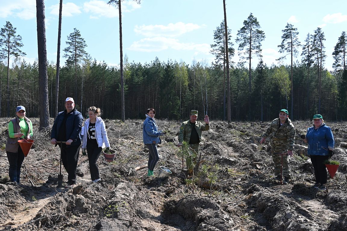 Фотофакт: Хотимчане активно принимают участие в Неделе леса
