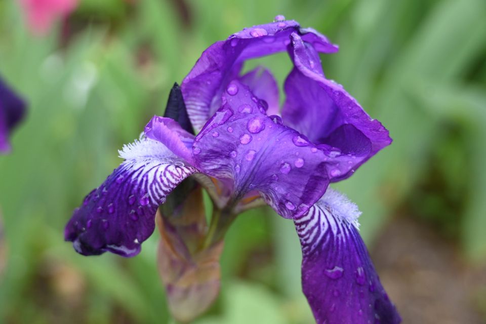 Погода на неделю: в первой половине недели сохранятся ночные заморозки, к выходным — потеплеет