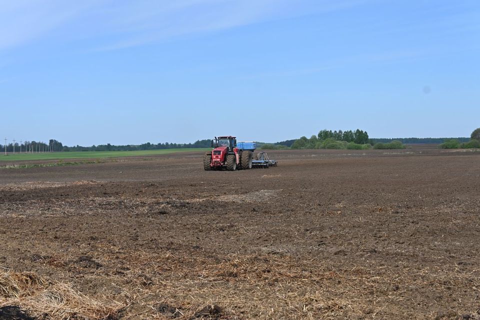 В Могилевской области завершен сев ранних яровых зерновых и зернобобовых культур
