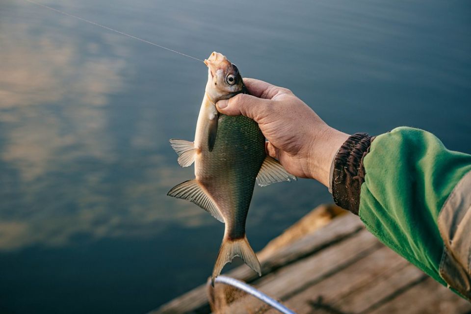Рыбалка в мае: кого, на что и как ловить
