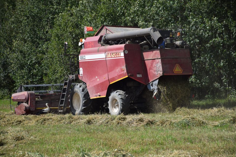 В Беларуси намолотили 3 млн тонн зерна