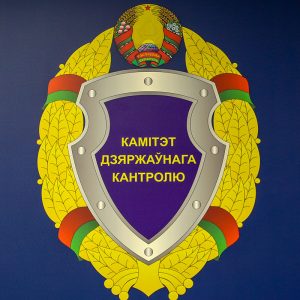 Функционирование бюджетных организаций на контроле
