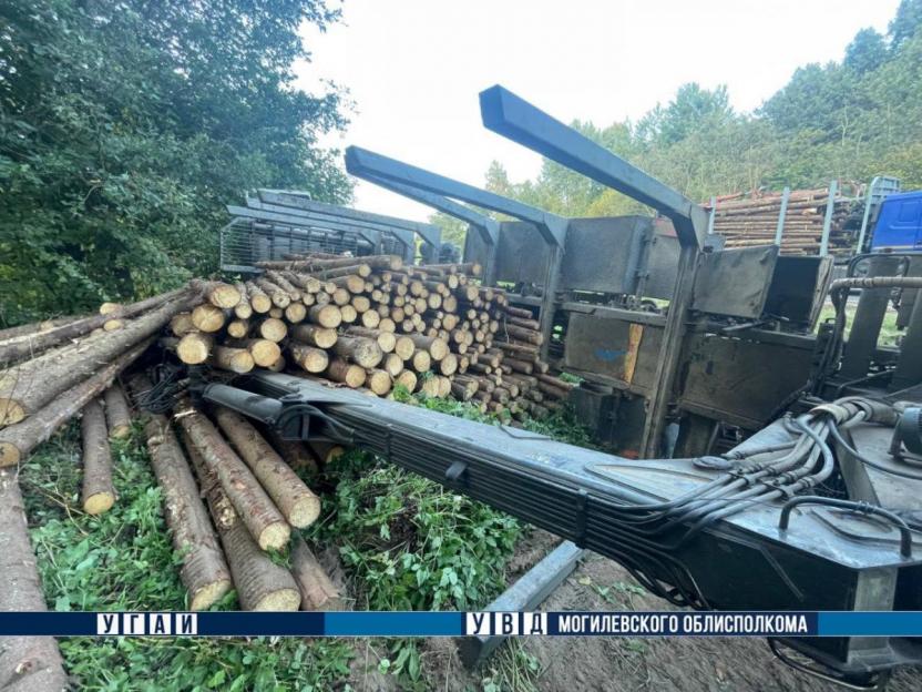 ДТП с грузовиком произошло в Шкловском районе