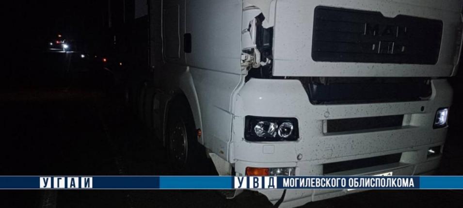 В ДТП в Мстиславском районе погиб пешеход