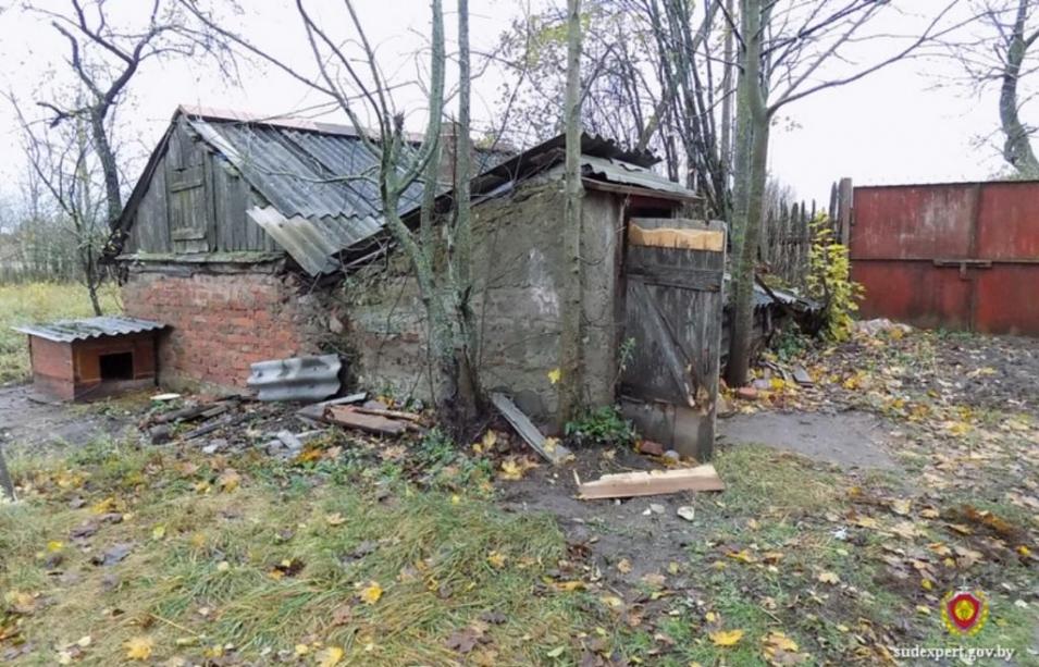 Два жителя Кличевского района погибли в бане, обустроенной в погребе