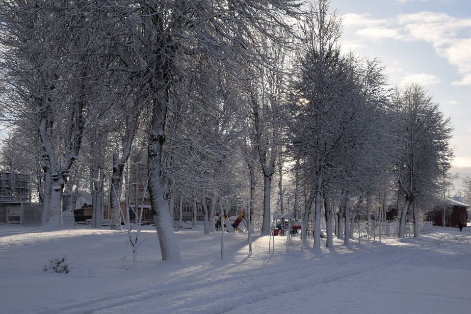 Фотофакт: “Хотимск под белым покрывалом февраля..”