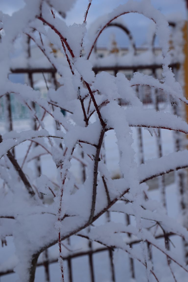 Оранжевый уровень опасности из-за сильного снегопада и ветра объявлен в Беларуси 7 февраля