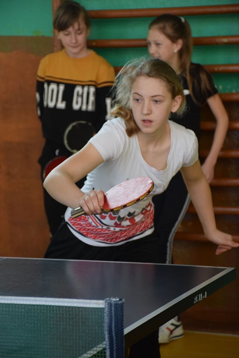 Как прошли соревнования по настольному теннису среди учащихся школ Хотимского района