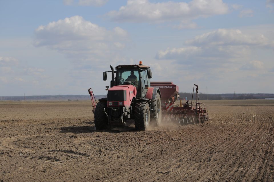 В Могилевской области яровые зерновые и зернобобовые культуры посеяны на 71,1 тыс. га