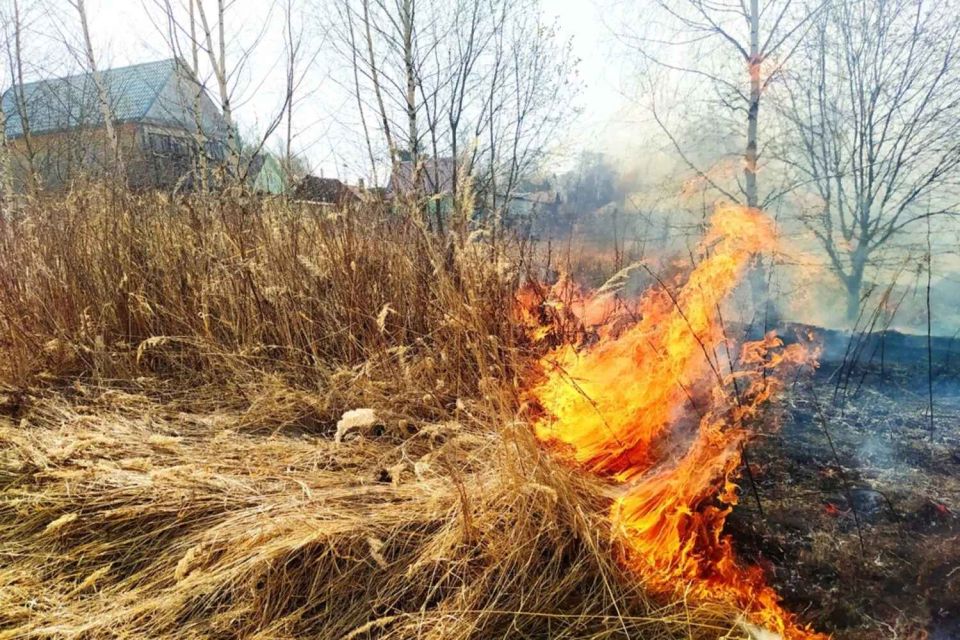 С начала года в Могилевской области произошло более 130 пожаров сухой растительности. В таких пожарах пострадал один человек.