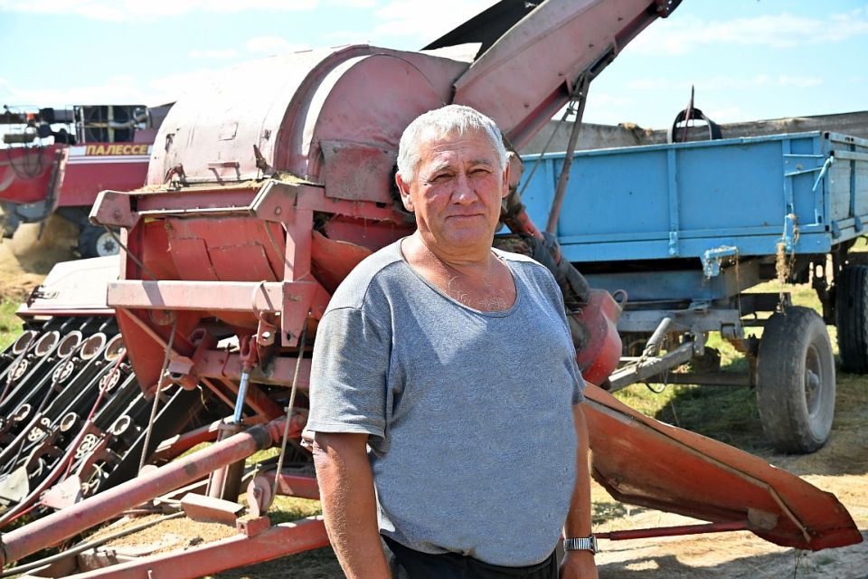 Рассказываем, как идёт работа на полях Хотимщины по уборке льна