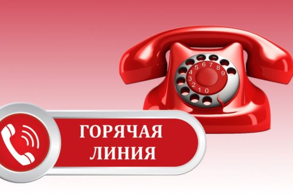 6 ноября Могилевский облисполком проведет горячую линию по вопросам организации работы общественного транспорта в Могилевской области