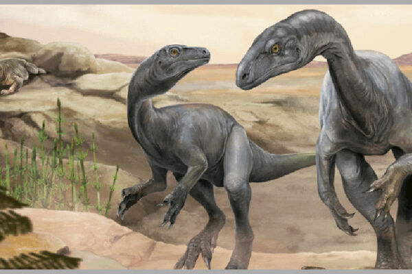 Палеонтологи нашли в Аргентине останки одного из древнейших динозавров возрастом около 230 млн лет 