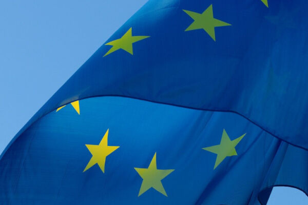 Евродепутат из Австрии призвал ЕС положить конец финансированию Украины