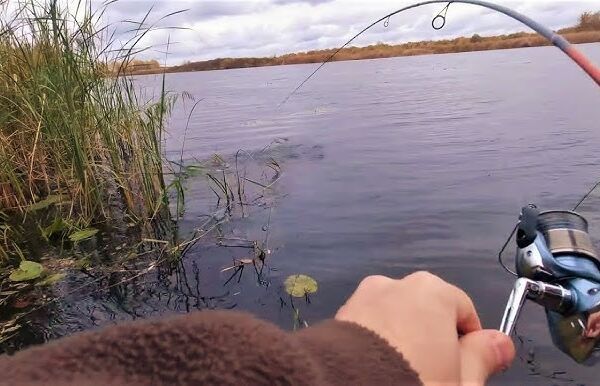 Хотимчане, соблюдайте меры предосторожности во время осенней рыбалки