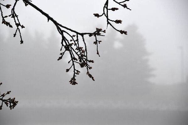 Раскачиваемся от мороза к оттепели: Могилевскую область ждут температурные качели в начале следующей недели