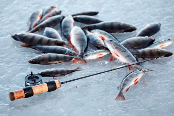 9 советов для желающих попробовать зимнюю рыбалку