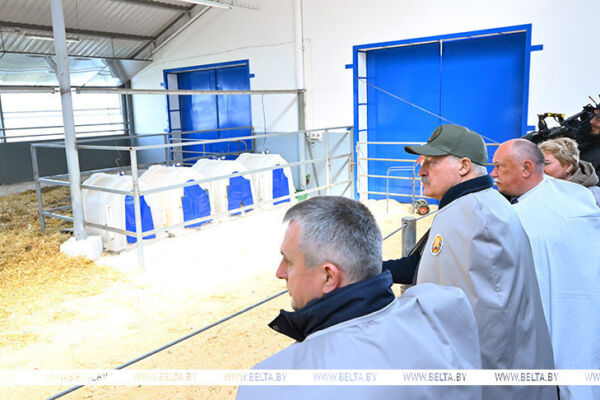 Возрождать, чего бы нам ни стоило. Лукашенко о возвращении в оборот пострадавших земель Полесья