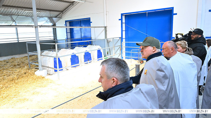 Возрождать, чего бы нам ни стоило. Лукашенко о возвращении в оборот пострадавших земель Полесья