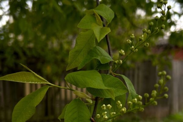 Контрастная неделя на Могилевщине: синоптики обещают разброс от -5°С до +22°С