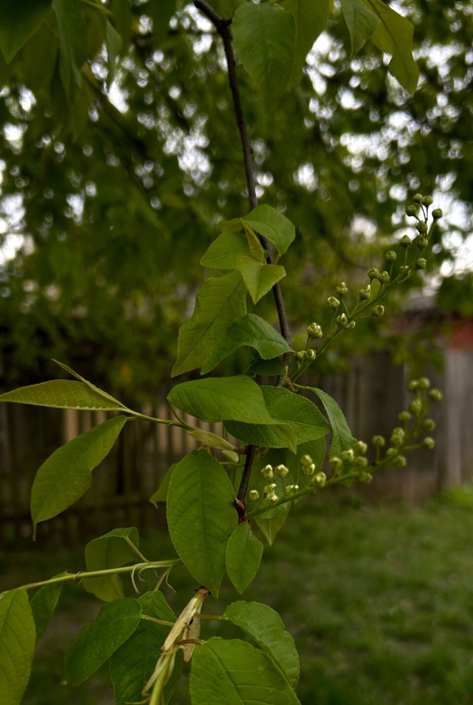 Контрастная неделя на Могилевщине: синоптики обещают разброс от -5°С до +22°С