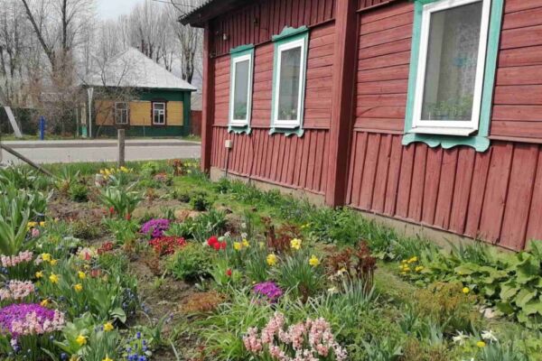 Цветы – это кусочек счастья и уюта