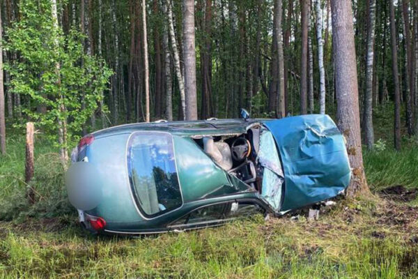 В Поставском районе автомобиль столкнулся с лосем, пострадали два человека