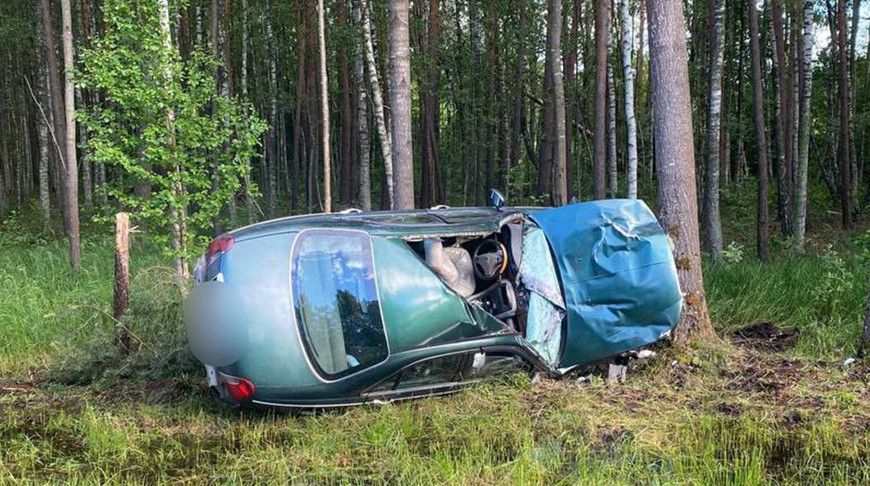 В Поставском районе автомобиль столкнулся с лосем, пострадали два человека