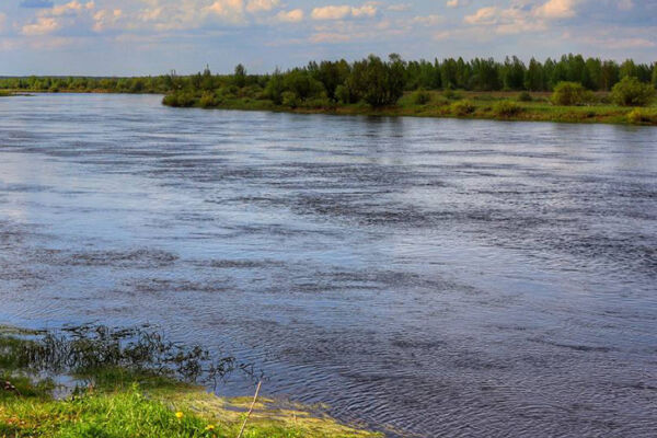 В Бобруйском районе нашли погибшим пропавшего рыбака