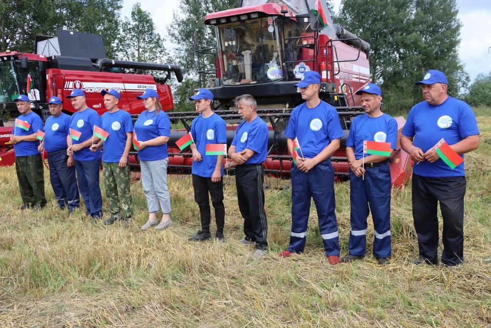 «Мини-зажинки» в хозяйствах Хотимского района
