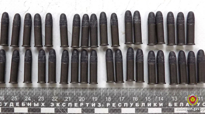 Два жителя Могилевской области незаконно хранили патроны и оружие, возбуждены уголовные дела