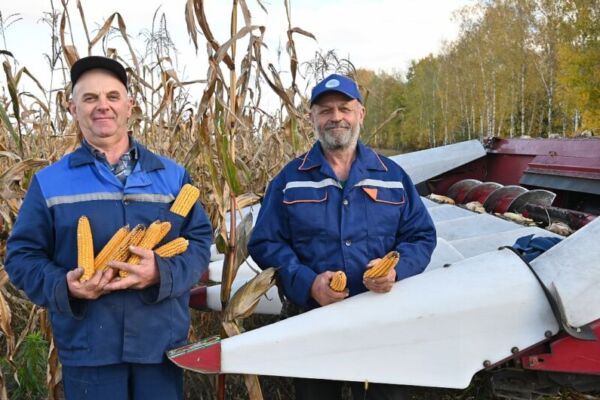 Золотой поток в закрома ОАО «Октябрь-Березки»